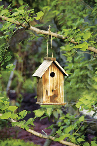 10 in. Tall Ready to Finish Wooden Bird House - Large
