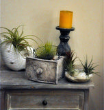 Decorative Ancient Cement Square "Drawer"
