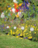 4PK Bird Solar Gazing Ball Garden Stake Lights with Scoll Accent
