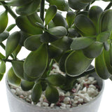 16 in. Potted Faux Jade Plant Home Décor | Artificial Crassula Ovata Succulent Money Tree in Melamine Pot | Fake Greenery for Office, Home, Kitchen, Bathroom, Bookshelf