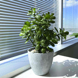 16 in. Potted Faux Jade Plant Home Décor | Artificial Crassula Ovata Succulent Money Tree in Melamine Pot | Fake Greenery for Office, Home, Kitchen, Bathroom, Bookshelf
