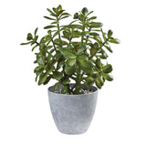 16 in. Potted Faux Jade Plant Home Décor | Artificial Crassula Ovata Succulent Money Tree in Melamine Pot | Fake Greenery for Office, Home, Kitchen, Bathroom, Bookshelf