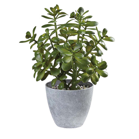 16 in. Potted Faux Jade Plant Home Décor | Artificial Crassula Ovata Succulent Money Tree in Melamine Pot | Fake Greenery for Office, Home, Kitchen, Bathroom, Bookshelf