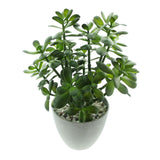 16 in. Potted Faux Jade Plant Home Décor | Artificial Crassula Ovata Succulent Money Tree in Melamine Pot | Fake Greenery for Office, Home, Kitchen, Bathroom, Bookshelf