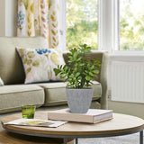 16 in. Potted Faux Jade Plant Home Décor | Artificial Crassula Ovata Succulent Money Tree in Melamine Pot | Fake Greenery for Office, Home, Kitchen, Bathroom, Bookshelf