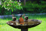 Sitting Pair of Birds Birdbath - Lightweight Birdbath for Yard or Garden