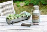 17 in. Shabby Look Metal Tabletop Planter "Nostalgia"