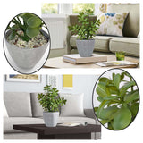 16 in. Potted Faux Jade Plant Home Décor | Artificial Crassula Ovata Succulent Money Tree in Melamine Pot | Fake Greenery for Office, Home, Kitchen, Bathroom, Bookshelf