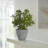 16 in. Potted Faux Jade Plant Home Décor | Artificial Crassula Ovata Succulent Money Tree in Melamine Pot | Fake Greenery for Office, Home, Kitchen, Bathroom, Bookshelf